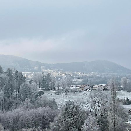 Gite Des Brimbelles La Neuveville-Devant-Lepanges 外观 照片
