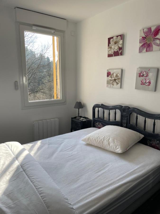 Gite Des Brimbelles La Neuveville-Devant-Lepanges 外观 照片