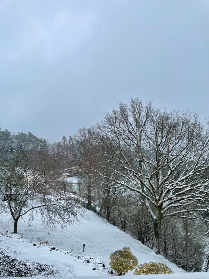 Gite Des Brimbelles La Neuveville-Devant-Lepanges 外观 照片