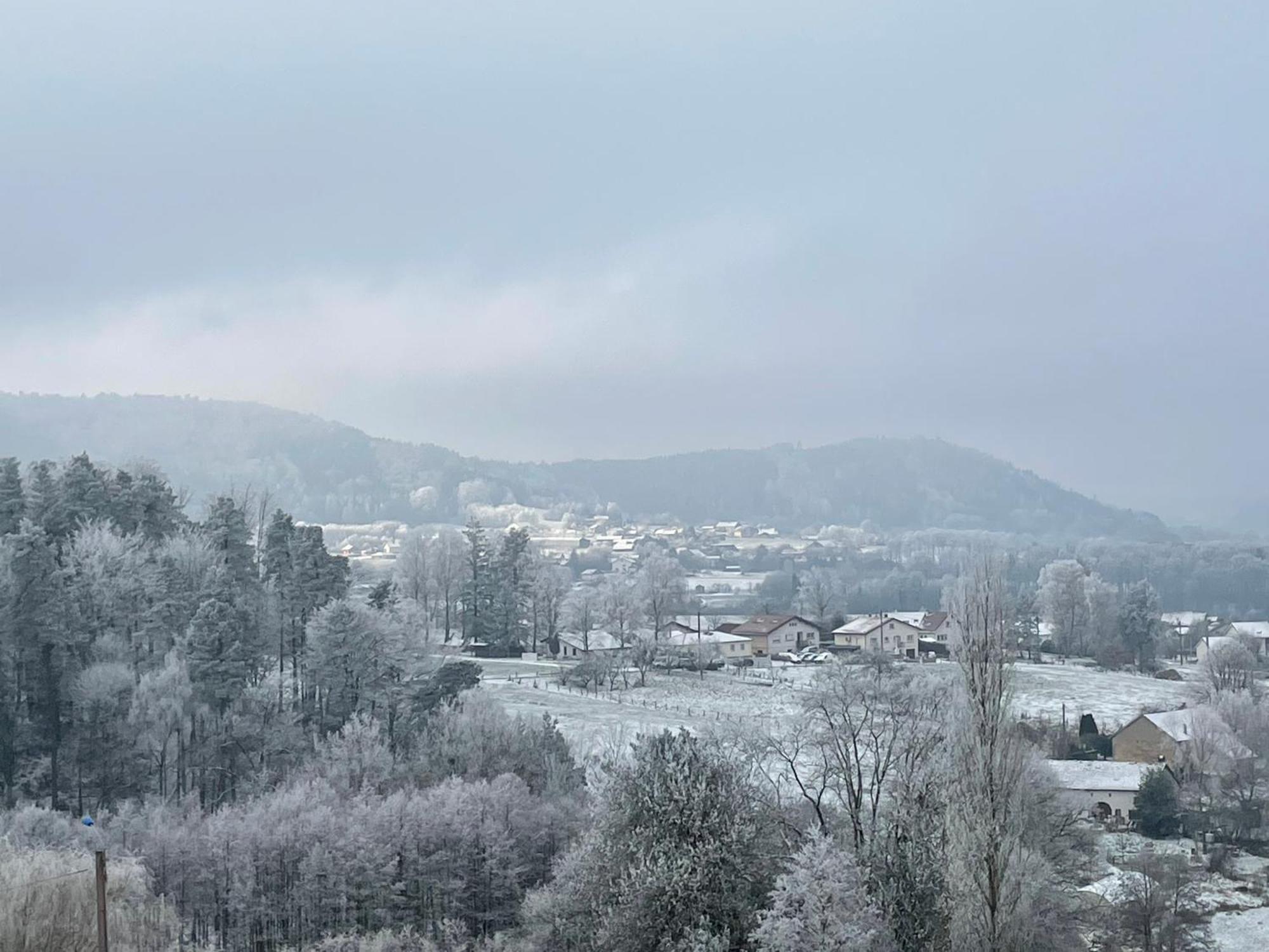 Gite Des Brimbelles La Neuveville-Devant-Lepanges 外观 照片