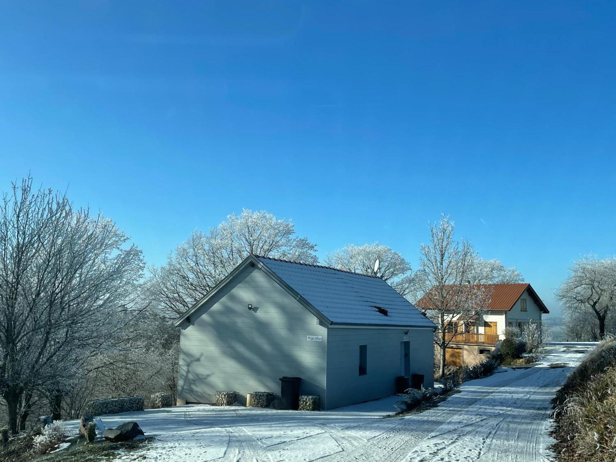 Gite Des Brimbelles La Neuveville-Devant-Lepanges 外观 照片